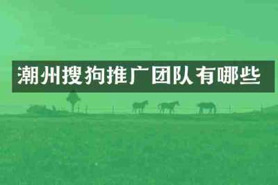 潮州搜狗推广团队有哪些