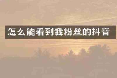 怎么能看到我粉丝的抖音