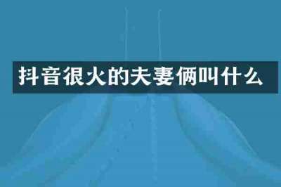 抖音很火的夫妻俩叫什么