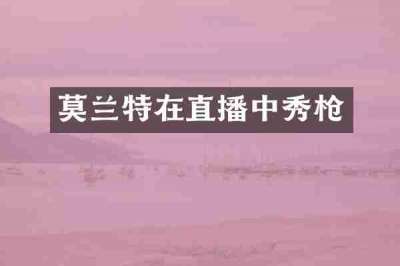 莫兰特在直播中秀枪