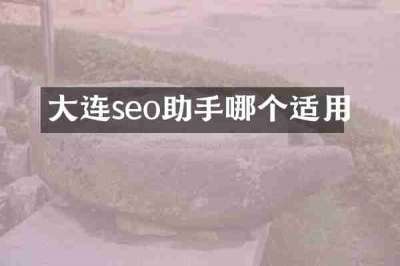 大连seo助手哪个适用