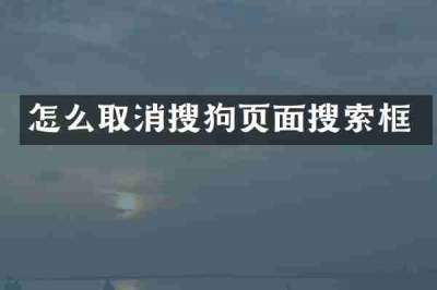 怎么取消搜狗页面搜索框