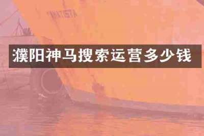濮阳神马搜索运营多少钱