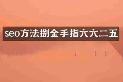 seo方法捌金手指六六二五