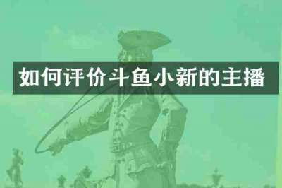 如何评价斗鱼小新的主播