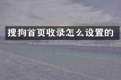 搜狗首页收录怎么设置的