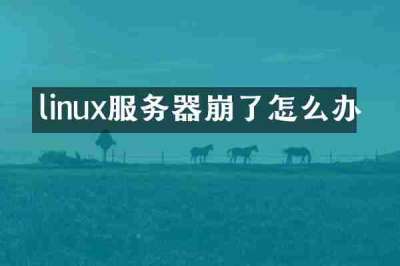 linux服务器崩了怎么办