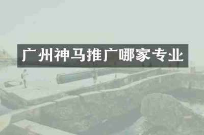广州神马推广哪家专业
