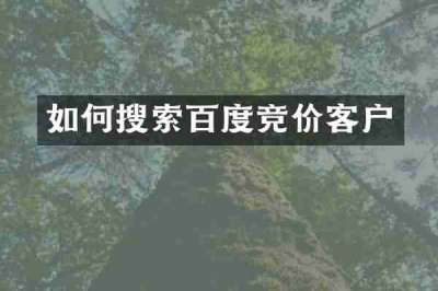 如何搜索百度竞价客户