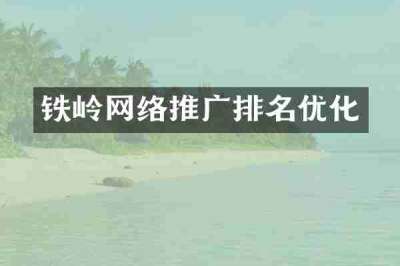 铁岭网络推广排名优化
