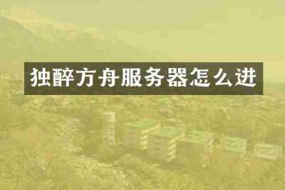 独醉方舟服务器怎么进