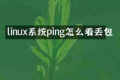 linux系统ping怎么看丢包