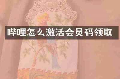 哔哩怎么激活会员码领取