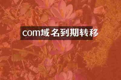 com域名到期转移