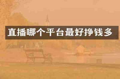 直播哪个平台最好挣钱多