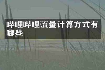 哔哩哔哩流量计算方式有哪些