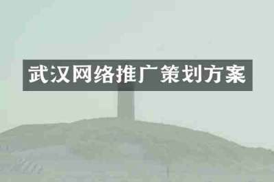 武汉网络推广策划方案