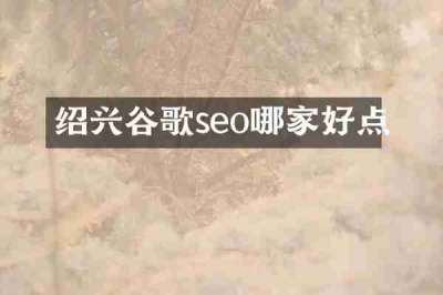 绍兴谷歌seo哪家好点