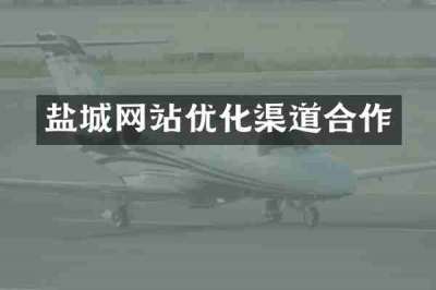 盐城网站优化渠道合作