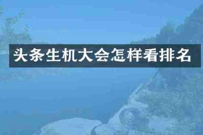 头条生机大会怎样看排名