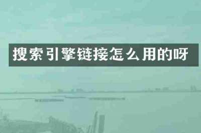搜索引擎链接怎么用的呀