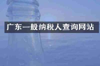 广东一般纳税人查询网站