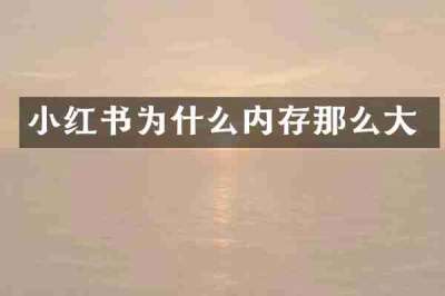 小红书为什么内存那么大