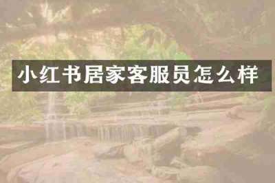 小红书居家客服员怎么样