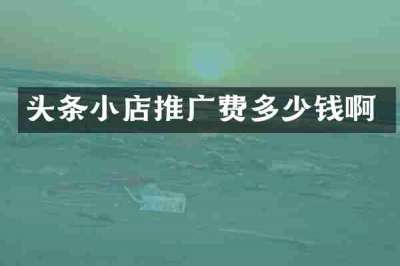 头条小店推广费多少钱啊