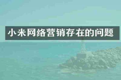 小米网络营销存在的问题