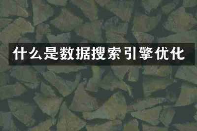 什么是数据搜索引擎优化