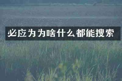 必应为为啥什么都能搜索