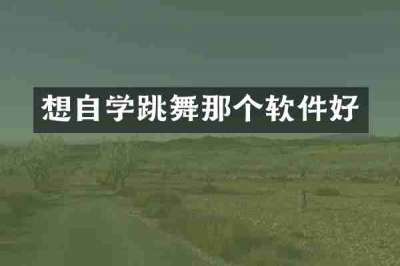 想自学跳舞那个软件好