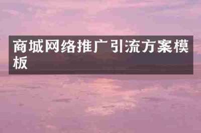商城网络推广引流方案模板