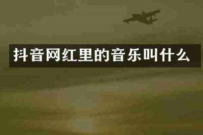 抖音网红里的音乐叫什么