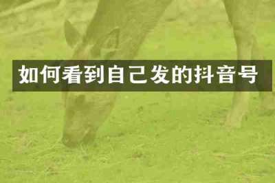 如何看到自己发的抖音号
