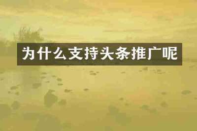 为什么支持头条推广呢