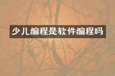 少儿编程是软件编程吗