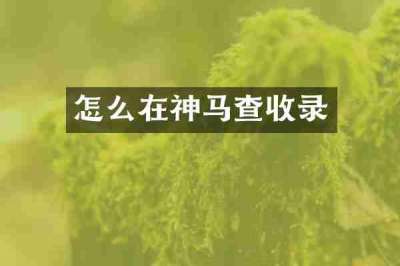 怎么在神马查收录