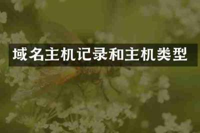 域名主机记录和主机类型