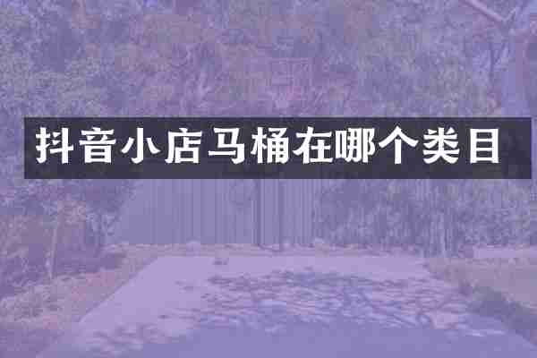 抖音小店马桶在哪个类目
