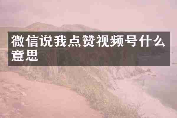 微信说我点赞视频号什么意思
