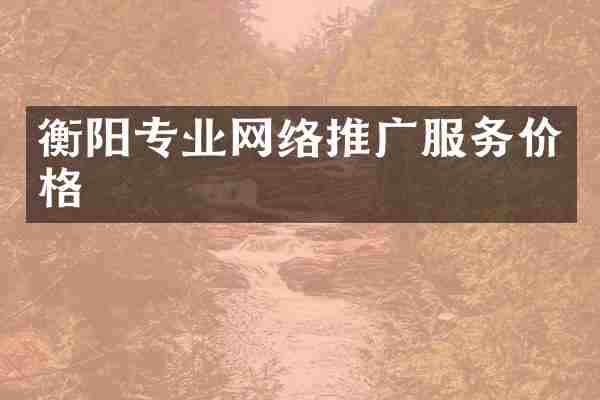 衡阳专业网络推广服务价格