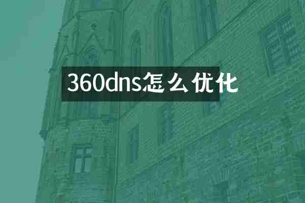 360dns怎么优化