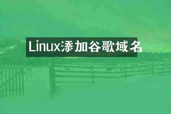 Linux添加谷歌域名