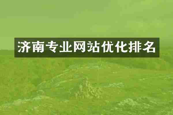 济南专业网站优化排名