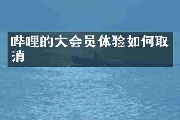 哔哩的大会员体验如何取消