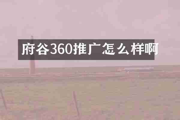 府谷360推广怎么样啊