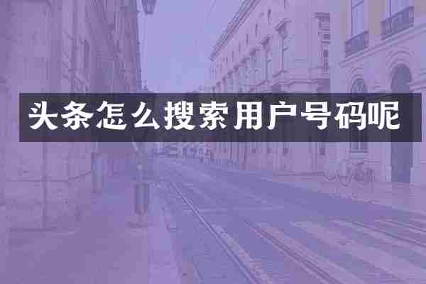 头条怎么搜索用户号码呢