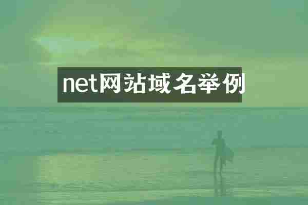 net网站域名举例